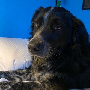 Meet your Posher, Peyton